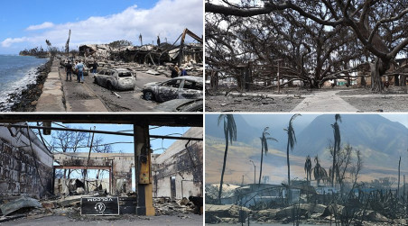 climate crisis