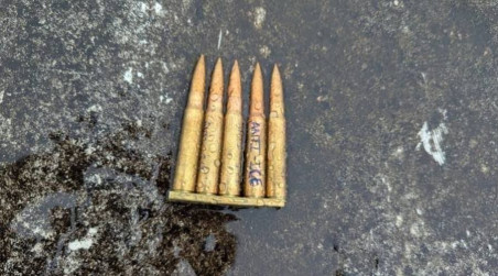 gun violence